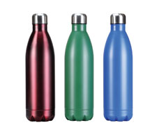 Double Wall Vacuum Insulated Bottles (Coloured Finish)