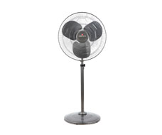 Pedestal Fans